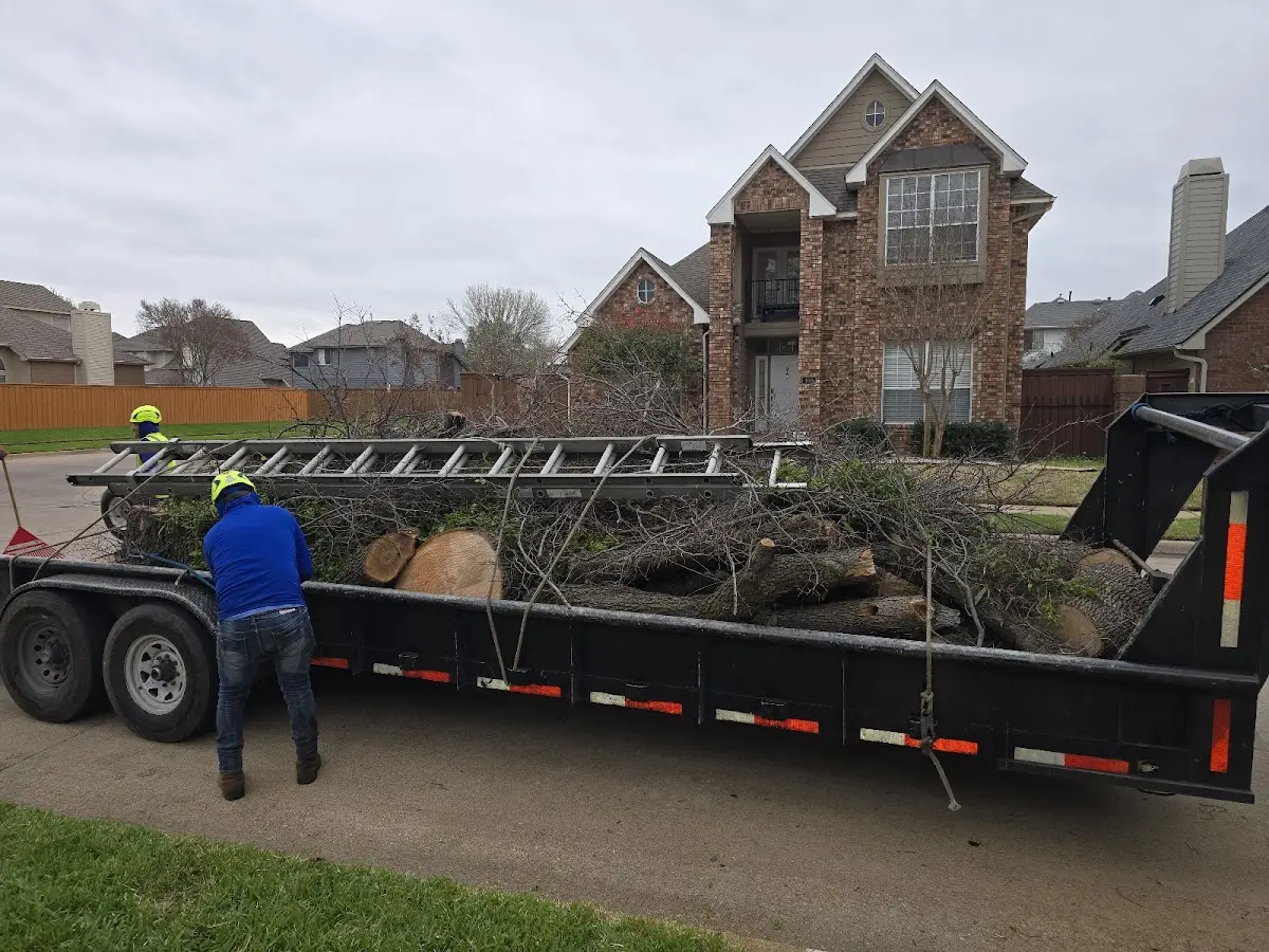 Expert Tree Fertilization with proper safety equipment in North River